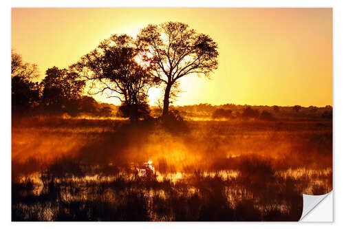 Vinilo para la pared Morning in Africa