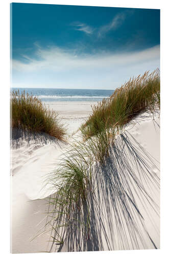 Quadro em acrílico Dunes with fine beach grass