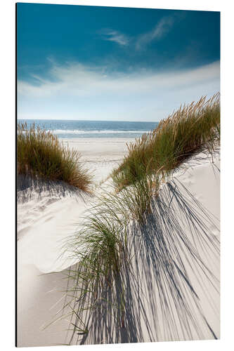 Aluminiumsbilde Dunes with fine beach grass