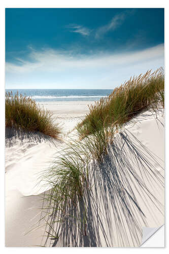 Naklejka na ścianę Dunes with fine beach grass