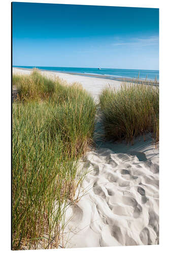 Aluminium print Dunes on the beach