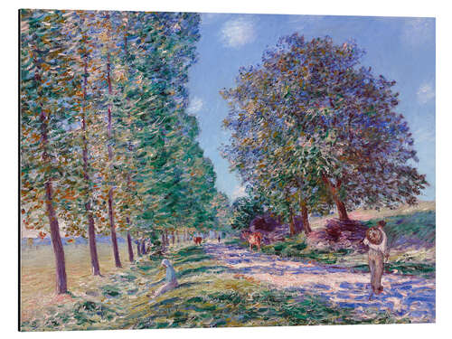 Aluminium print Poplar Avenue at Moret on the Loing