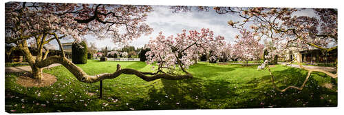 Quadro em tela Magnolia in Bloom