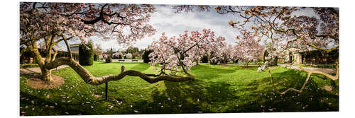 Foam board print Magnolia in Bloom