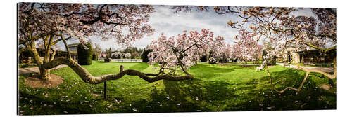 Galleritryk Magnolia in Bloom