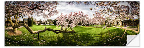 Naklejka na ścianę Magnolia in Bloom