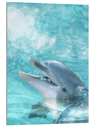 Gallery print Dolphin - Humor