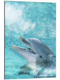 Magnettafel Delfin - Humor