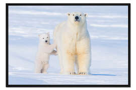 Gerahmter Kunstdruck Eisbärfamilie