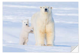 Vinilo para la pared Familia del oso polar