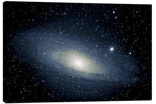 Canvas-taulu Andromeda Galaxy M 31 - spiralgalaxy