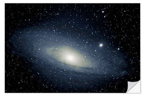 Vinilo para la pared Andromeda Galaxy M 31 - spiralgalaxy