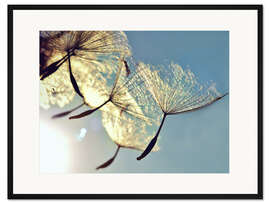 Gerahmter Kunstdruck Pusteblume - Freiheit