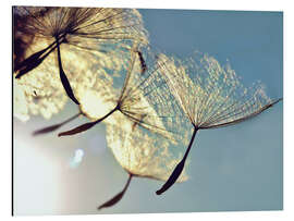 Magnettafel Pusteblume - Freiheit