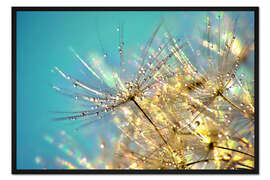 Gerahmter Kunstdruck Pusteblume Türkis mit Gold