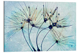 Magnettafel Pusteblume Dancing