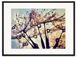 Gerahmter Kunstdruck Pusteblume Farbe