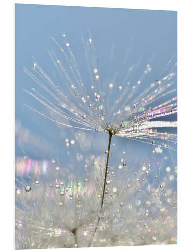 Hartschaumbild Pusteblume Kristallschirmchen