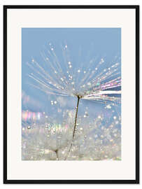 Gerahmter Kunstdruck Pusteblume Kristallschirmchen