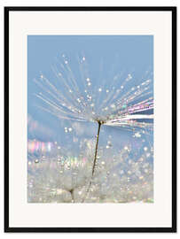 Impresión de arte enmarcada Dandelion Crystal