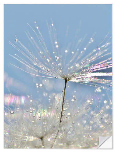 Naklejka na ścianę Dandelion Crystal