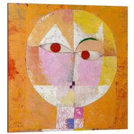 Magnettafel Senecio (Baldgreis)