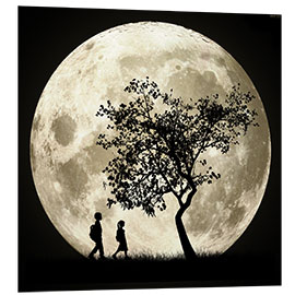 Foam board print Full Moon