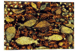 Foam board print The Aquarium