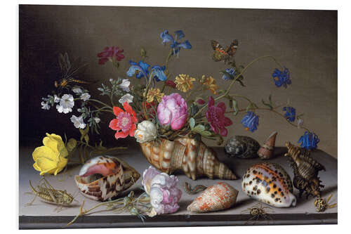 Foam board print Flowers, shells and insects