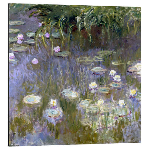 Aluminium print Water Lilies II