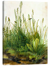 Tableau sur toile  La grande touffe d&#039;herbes - Albrecht Dürer