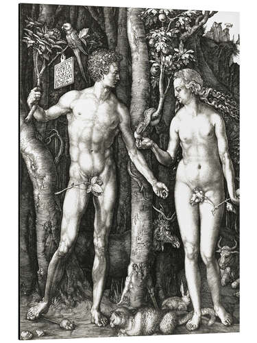 Aluminium print Adam & Eve