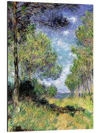 Magnettafel Nadelbäume in Varengeville