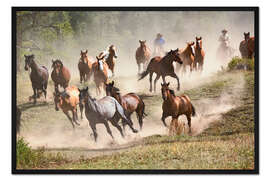 Gerahmter Kunstdruck Wildpferde in Montana