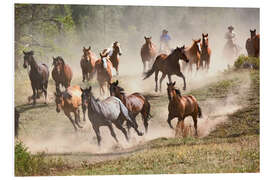 Foam board print Wild horses in Montana