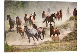 Tableau en plexi-alu Chevaux sauvages dans le Montana