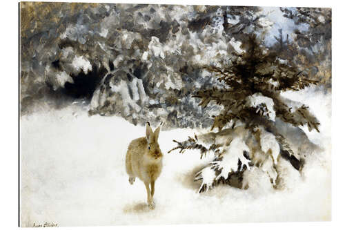 Gallery print A hare in the snow