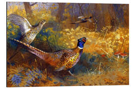 Aluminium print Two pheasants on the edge of the forest