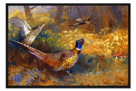 Gerahmter Kunstdruck Zwei Fasane am Waldrand