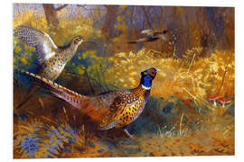 Foam board print Two pheasants on the edge of the forest