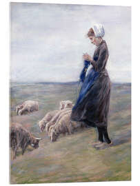 Acrylic print Shepherdess