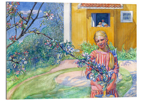 Quadro em plexi-alumínio Girl With Apple Blossom