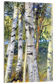 Gallery print Birch trunks