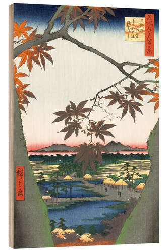 Obraz na drewnie Maple leaves, the Tekona shrine and the bridge