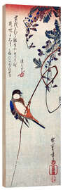 Wood print Swallow sitting on a branch of a wisteria