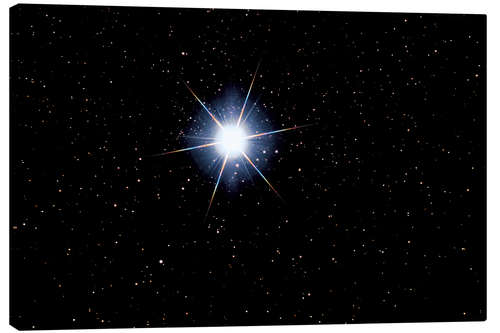 Canvas print Star Sirius