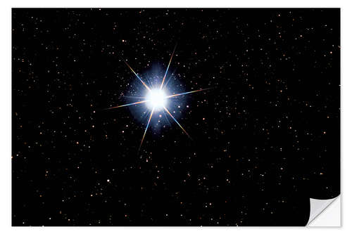 Vinilo para la pared Star Sirius