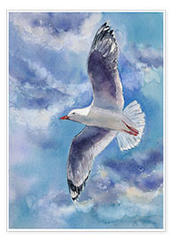 Poster  Seagull - Jitka Krause