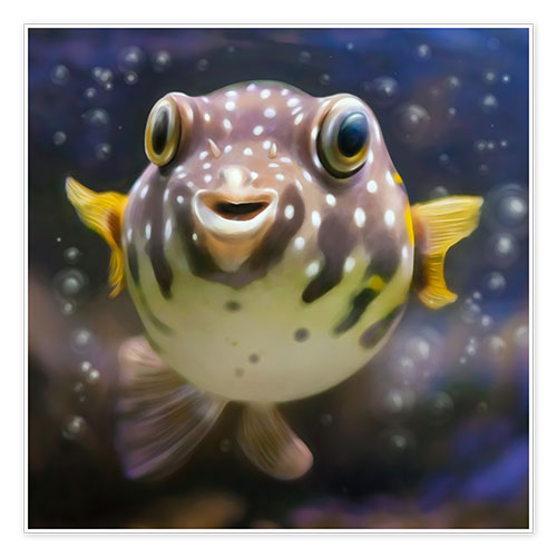 Poster Fugu der Kugelfisch