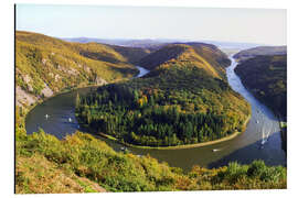 Cuadro de aluminio Saarland with the famous Saar loop